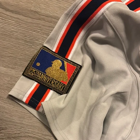 Alan Trammell Mitchell & Ness Gray Cooperstown Collection Jersey 1994 25th Ann